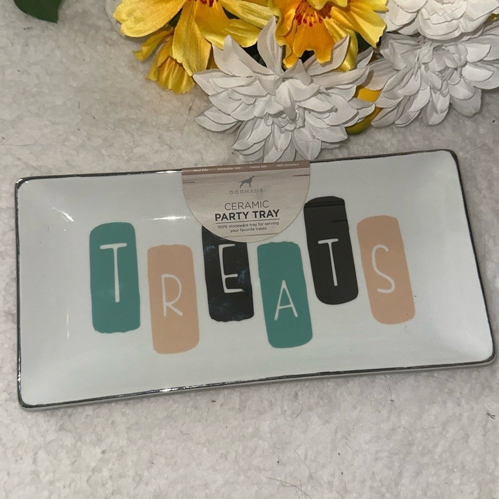Doghaus Ceramic Party Tray Treats Stoneware Serving Platter White Multi 10x5